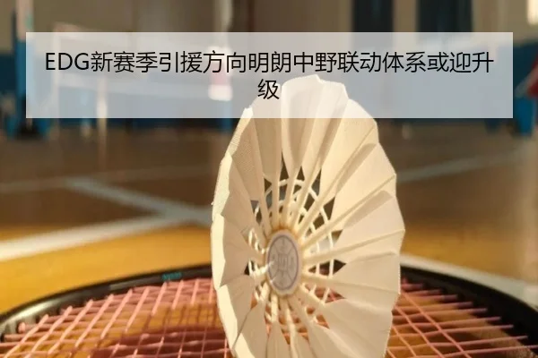 EDG新赛季引援方向明朗中野联动体系或迎升级